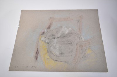Lot 1111 - Joseph Plaskett (1918-2014) group of eight pastels on paper, cat studies, approximately 66cm x 52cm and smaller, unframed (8)