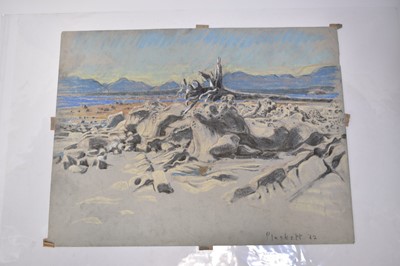 Lot 1116 - Joseph Plaskett (1918-2014) group of nine pastels on paper, French Landscapes, signed, approximately 51cm x 65cm