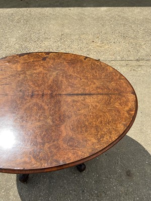 Lot 69 - Victorian burr walnut oval tilt top loo table on turned column and four splayed legs, 120cm x 88cm