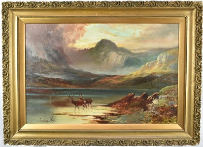 Lot 1217 - Clarence Henry Roe (1850-1909) oil on canvas - Highland scene with deer in foreground, signed, 50cm x 78cm, in gilt frame