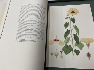 Lot 1692 - The Australian Flower Paintings of Ferdinand Bauer... Introduction by Wilfrid Blunt. London, The Basilisk Press, 1976