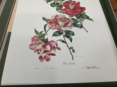 Lot 1692 - The Australian Flower Paintings of Ferdinand Bauer... Introduction by Wilfrid Blunt. London, The Basilisk Press, 1976