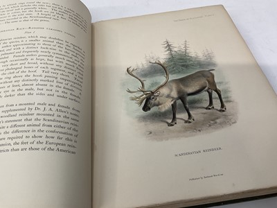 Lot 1754 - Richard Lydekker - The Deer of All Lands, 1898 first edition, one of 500 copies (un-numbered)