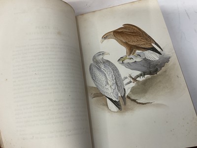 Lot 1761 - Henry Leonard Meyer - Coloured Illustrations of British Birds and Their Eggs, London 1842-1850, seven volumes extensively illustrated with hand coloured plates, full calf