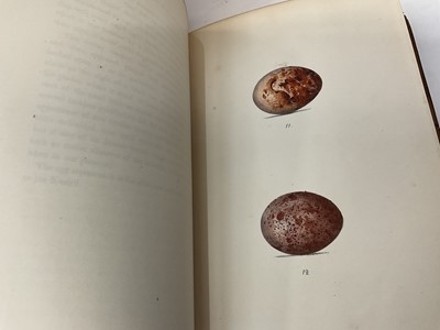 Lot 1761 - Henry Leonard Meyer - Coloured Illustrations of British Birds and Their Eggs, London 1842-1850, seven volumes extensively illustrated with hand coloured plates, full calf