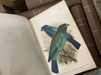 Lot 1765 - Catalogue of the Birds in the British Museum, 1874 - 1895 27 vols, I-XXVII, extensively illustrated, cloth bindings (some damp damage)