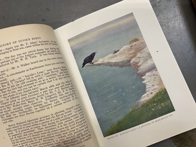 Lot 1767 - John Walpole-Bond - History of Sussex Birds, 1st Ed. 1938