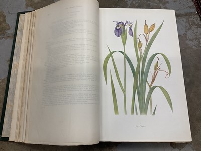 Lot 1772 - William Rickatson Dykes The Genus Iris with 47 coloured drawings by F.H. Round, one coloured plate of seeds by Miss R.M. Cardew and 30 line drawings by C.W. Johnson, published Cambridge: at the Uni...