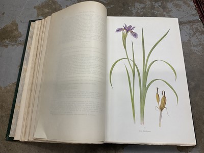 Lot 1772 - William Rickatson Dykes The Genus Iris with 47 coloured drawings by F.H. Round, one coloured plate of seeds by Miss R.M. Cardew and 30 line drawings by C.W. Johnson, published Cambridge: at the Uni...