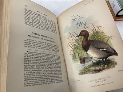 Lot 1774 - Stevenson - The Birds of Norfolk, 3 Vols, John Van Voorst & Matchett, 1866, 5 hand coloured plates after Wolf, 4 tinted lithographs bound in three quarter calf leather, 1866first edition, together...