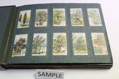 Lot 1528 - Cigarette cards Gallaher British Buds, Plants of Commercial Value, Woodland Series Famous Footballers, Boy Scout Scenes, Animals & Buds of Commercial Value, Footballers in Action (7 sets)