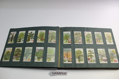 Lot 1528 - Cigarette cards Gallaher British Buds, Plants of Commercial Value, Woodland Series Famous Footballers, Boy Scout Scenes, Animals & Buds of Commercial Value, Footballers in Action (7 sets)