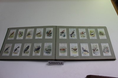 Lot 1528 - Cigarette cards Gallaher British Buds, Plants of Commercial Value, Woodland Series Famous Footballers, Boy Scout Scenes, Animals & Buds of Commercial Value, Footballers in Action (7 sets)