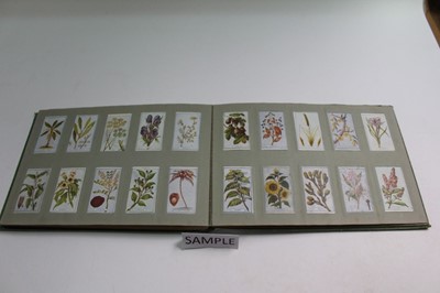Lot 1528 - Cigarette cards Gallaher British Buds, Plants of Commercial Value, Woodland Series Famous Footballers, Boy Scout Scenes, Animals & Buds of Commercial Value, Footballers in Action (7 sets)