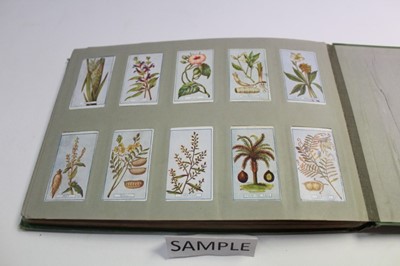 Lot 1528 - Cigarette cards Gallaher British Buds, Plants of Commercial Value, Woodland Series Famous Footballers, Boy Scout Scenes, Animals & Buds of Commercial Value, Footballers in Action (7 sets)