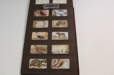 Lot 1528 - Cigarette cards Gallaher British Buds, Plants of Commercial Value, Woodland Series Famous Footballers, Boy Scout Scenes, Animals & Buds of Commercial Value, Footballers in Action (7 sets)
