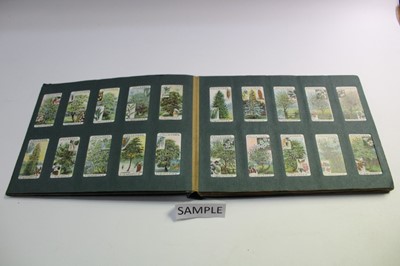 Lot 1528 - Cigarette cards Gallaher British Buds, Plants of Commercial Value, Woodland Series Famous Footballers, Boy Scout Scenes, Animals & Buds of Commercial Value, Footballers in Action (7 sets)