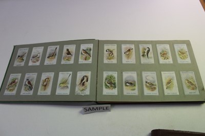 Lot 1528 - Cigarette cards Gallaher British Buds, Plants of Commercial Value, Woodland Series Famous Footballers, Boy Scout Scenes, Animals & Buds of Commercial Value, Footballers in Action (7 sets)