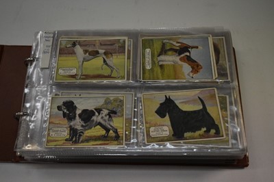 Lot 1539 - Cigarette cards in four albums of large cards sets/part sets including Ardath Champion Dogs, Photocards, Carerras Glamour Girls, Players Types of Horses, Film stars, Wills Aquarium Studies, Arms of...