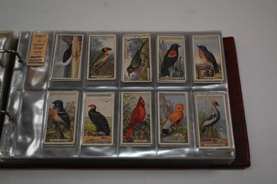 Lot 1541 - Cigarette cards Ogdens in two albums sets/part sets to include Australian Test Cricketers Boy Scouts, Derby Entrants 1929, Famous Footballers, Prominent Race Horses of 1933, Racing Pigeons etc.