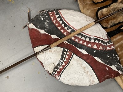 Lot 2432 - Masai shield and spear, together with 6 various animal skins