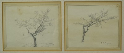 Lot 1259 - *Alfred Aaron Wolmark (1877-1961) pair of early pencil sketches of trees, each initiated and dated 1900, framed as one, 35cm x 59cm overall