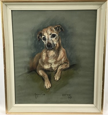 Lot 159 - Marjorie Cox (1915-2003) pastel portrait of a Terrier, 'Ettie', signed and dated 1969, in glazed frame
