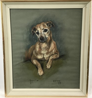 Lot 204 - Marjorie Cox (1915-2003) pastel portrait of a Terrier, 'Ettie', signed and dated 1969, in glazed frame