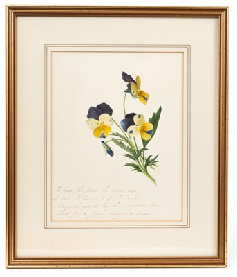 Lot 1037 - English School, 19th century, watercolour - Primrose, with poetic verse, 22 x 17cm, in glazed frame. Provenance: The Beaufort Gallery, Kings Road, London