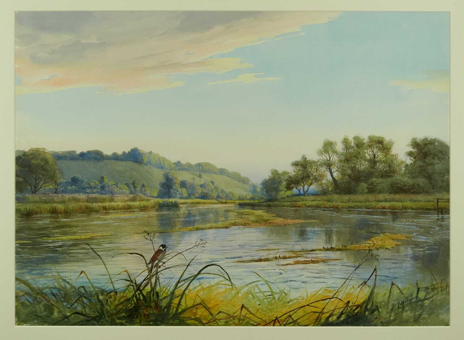 Lot 797 - *John Cyril Harrison (1898-1985) watercolour - Reed Bunting on the Test, signed, 55cm x 76cm, in glazed frame  
Provenance: The Wildlife Art Gallery, Lavenham