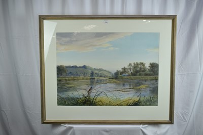 Lot 797 - *John Cyril Harrison (1898-1985) watercolour - Reed Bunting on the Test, signed, 55cm x 76cm, in glazed frame  
Provenance: The Wildlife Art Gallery, Lavenham