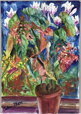 Lot 26 - Colin Moss (1914-2005) watercolour, still life of a pot plant, signed, 64 x 46cm