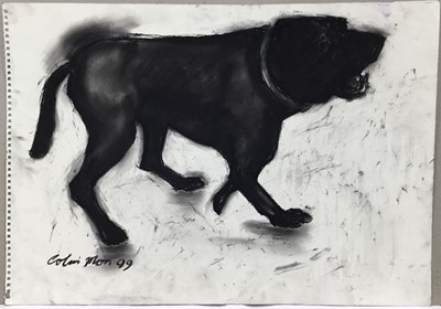 Lot 42 - Colin Moss (1914-2005) charcoal, Angry dog, 41 x 60cm