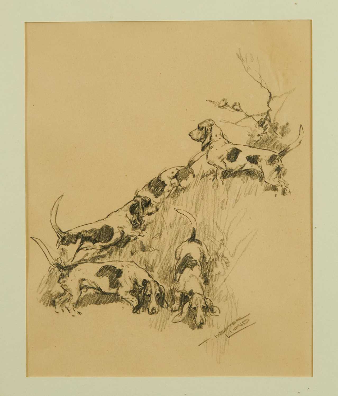 Lot 801 - Thomas Ivester Lloyd (1873-1942) pencil illustration, Basset Hounds, signed, 27cm x 21cm, in glazed frame, together with the realted book 'Hounds'