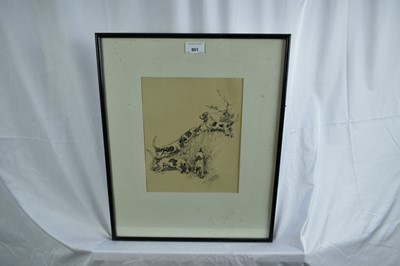 Lot 801 - Thomas Ivester Lloyd (1873-1942) pencil illustration, Basset Hounds, signed, 27cm x 21cm, in glazed frame, together with the realted book 'Hounds'