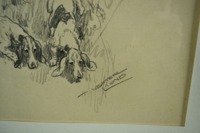 Lot 801 - Thomas Ivester Lloyd (1873-1942) pencil illustration, Basset Hounds, signed, 27cm x 21cm, in glazed frame, together with the realted book 'Hounds'