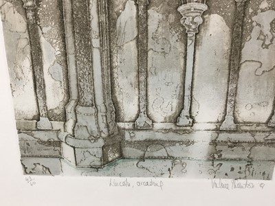 Lot 190 - Valerie Thornton aquatint, Lincoln Arcading, no. 49 of 60, signed and dated 81, in glazed frame.