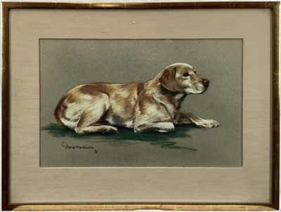 Lot 117 - David Hankinson, contemporary, pastel portrait of a recumbent Labrador, signed and dated '75, in glazed gilt frame