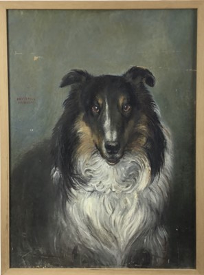 Lot 122 - David Hill (1914-1977), egg tempera on board, Study of a dog, signed and dated 1957, 64 x 47cm, framed