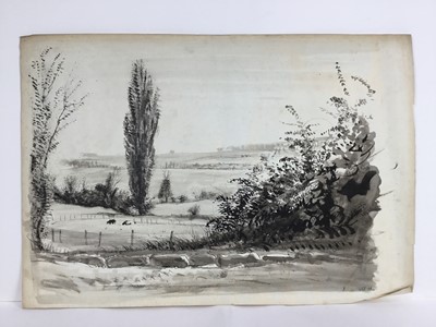 Lot 85 - David Hill (1914-1977), pen and ink and wash 'Noorder Eind, Graveland, inscribed, 24 x 31, together with a group of landscapes on paper in a variety of media. (37)