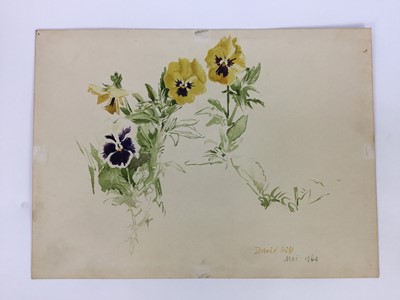 Lot 91 - David Hill (1914-1977), watercolour, orchids in a vase, signed and dated 1973, 36 x 26cm, together with 5 further floral studies in a variety of media. (6)