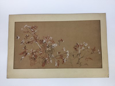 Lot 91 - David Hill (1914-1977), watercolour, orchids in a vase, signed and dated 1973, 36 x 26cm, together with 5 further floral studies in a variety of media. (6)