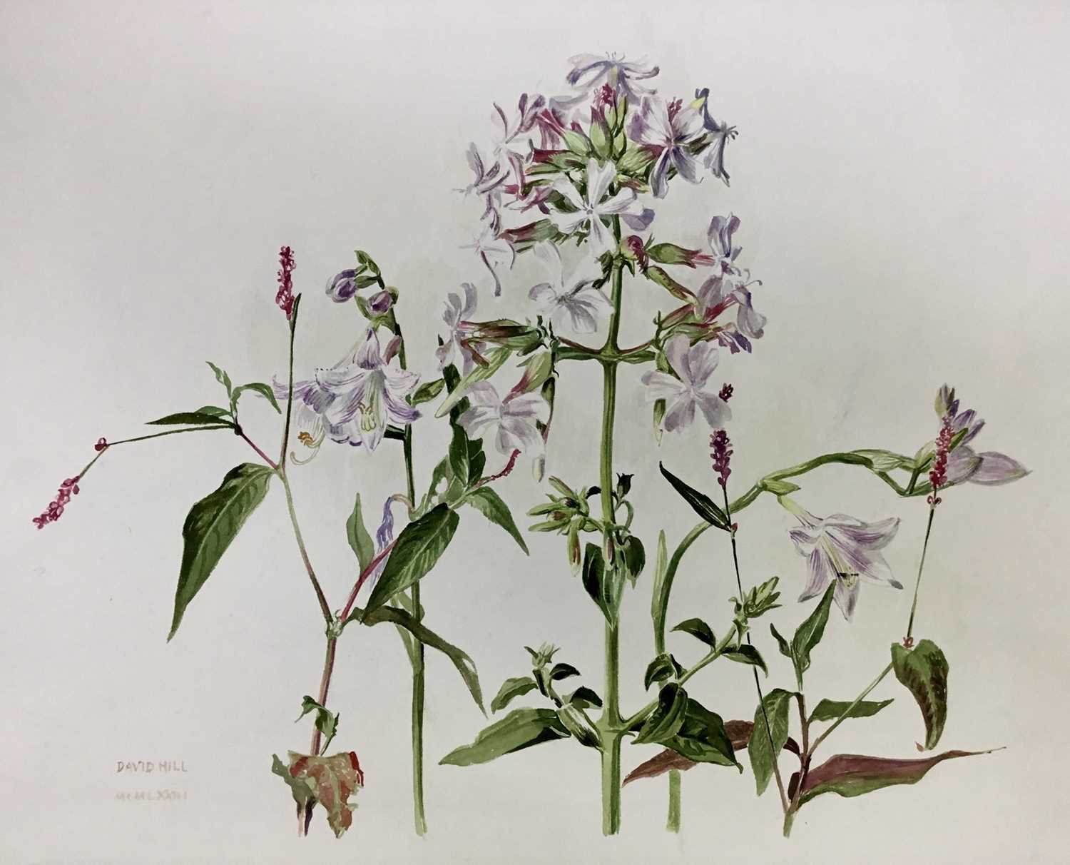 Lot 92 - David Hill (1914-1977), watercolour, floral study, signed and dated '73, 41 x 48cm, together with a collection of botanical studies in a variety of media. (20)