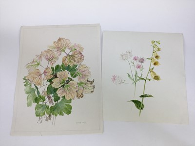 Lot 92 - David Hill (1914-1977), watercolour, floral study, signed and dated '73, 41 x 48cm, together with a collection of botanical studies in a variety of media. (20)