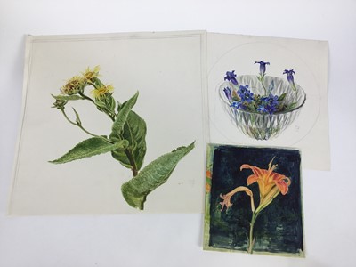 Lot 92 - David Hill (1914-1977), watercolour, floral study, signed and dated '73, 41 x 48cm, together with a collection of botanical studies in a variety of media. (20)