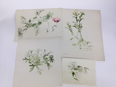 Lot 92 - David Hill (1914-1977), watercolour, floral study, signed and dated '73, 41 x 48cm, together with a collection of botanical studies in a variety of media. (20)