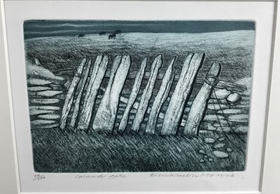 Lot 398 - Elizabeth Morris - two signed limited edition coloured etchings, ‘The washing line and the comet’ 39/100 and ‘Island gate’ 24/100, 18cm x 23cm, in glazed framed  (2)