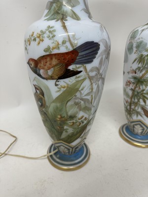 Lot 1058 - Pair of 19th century painted bohemian milk glass vases, presented as lamps, painted with exotic birds. vases 50cm high
