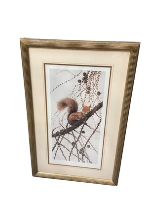 Lot 618 - Susan Gibson limited edition print, Red Squirrel, signed and numbered 48/50, together with various other prints