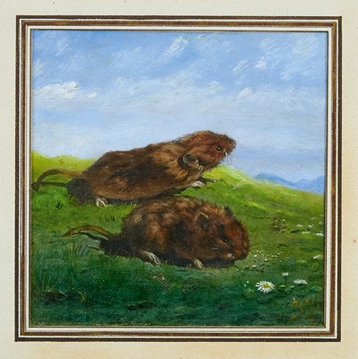 Lot 1236 - Oil on canvas depiction of rodents, indistinctly signed and dated